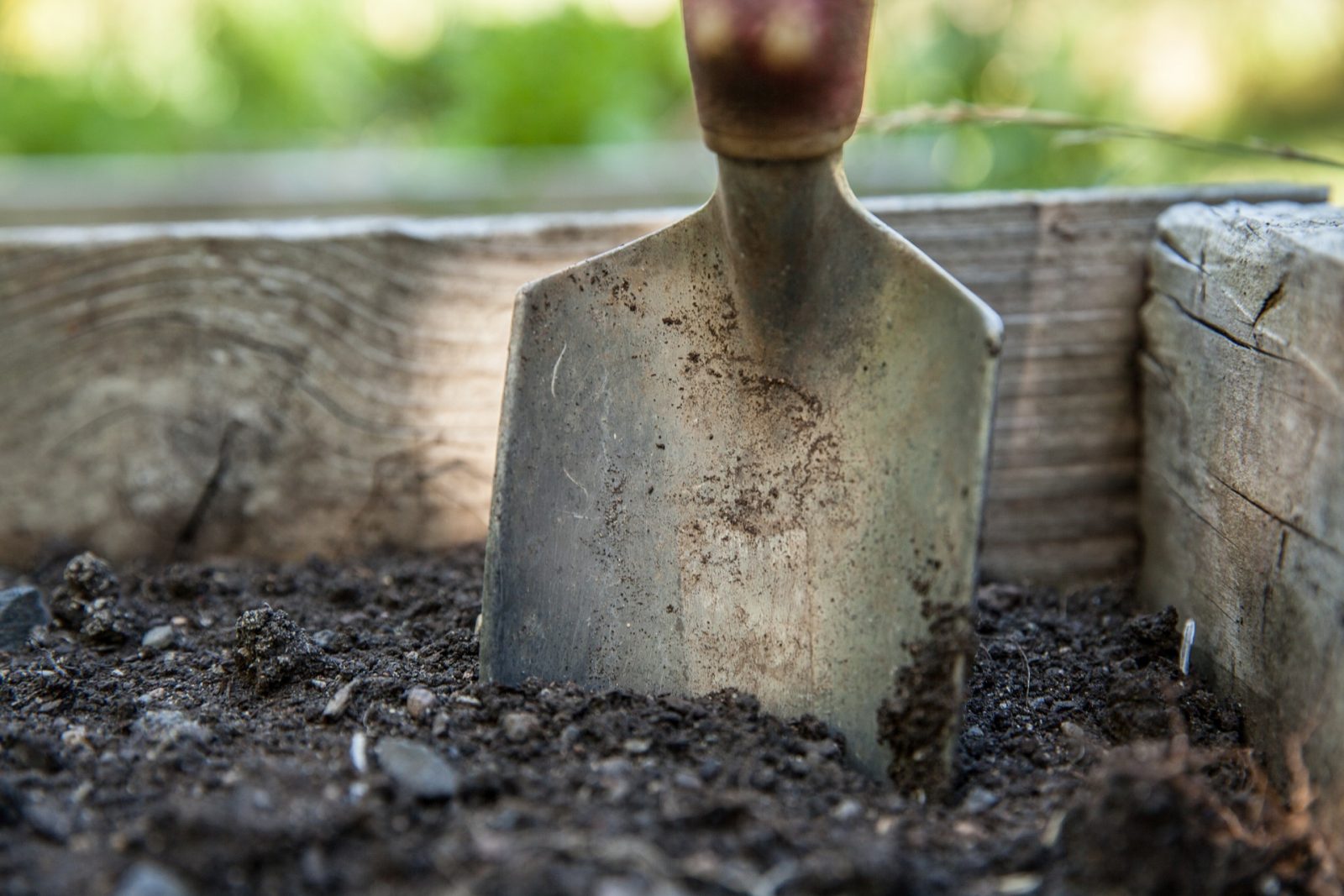 Hoe hou je de bodem van je tuin zo gezond mogelijk? Rode draad is: koester het bodemleven! Alle schimmels, bacteriën, eencelligen en andere beestjes houden een evenwicht in stand waar planten goed in gedijen. Zij hebben ieder hun eigen taak in de afbraak van organisch materiaal in de grond. En door deze afbraak komt er […]